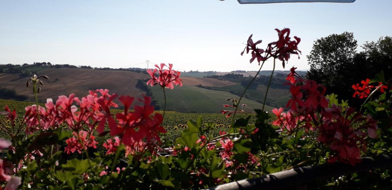 Bed and Breakfast Lo Scrigno Di Simon Senigallia Zewnętrze zdjęcie